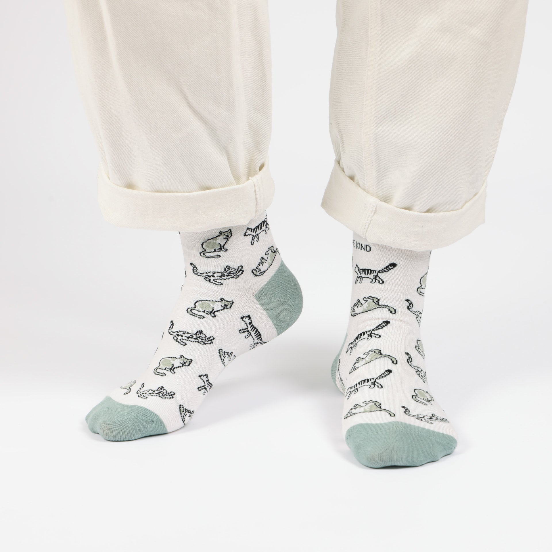 Green Cat Pet Pair Bamboo Sock Set
